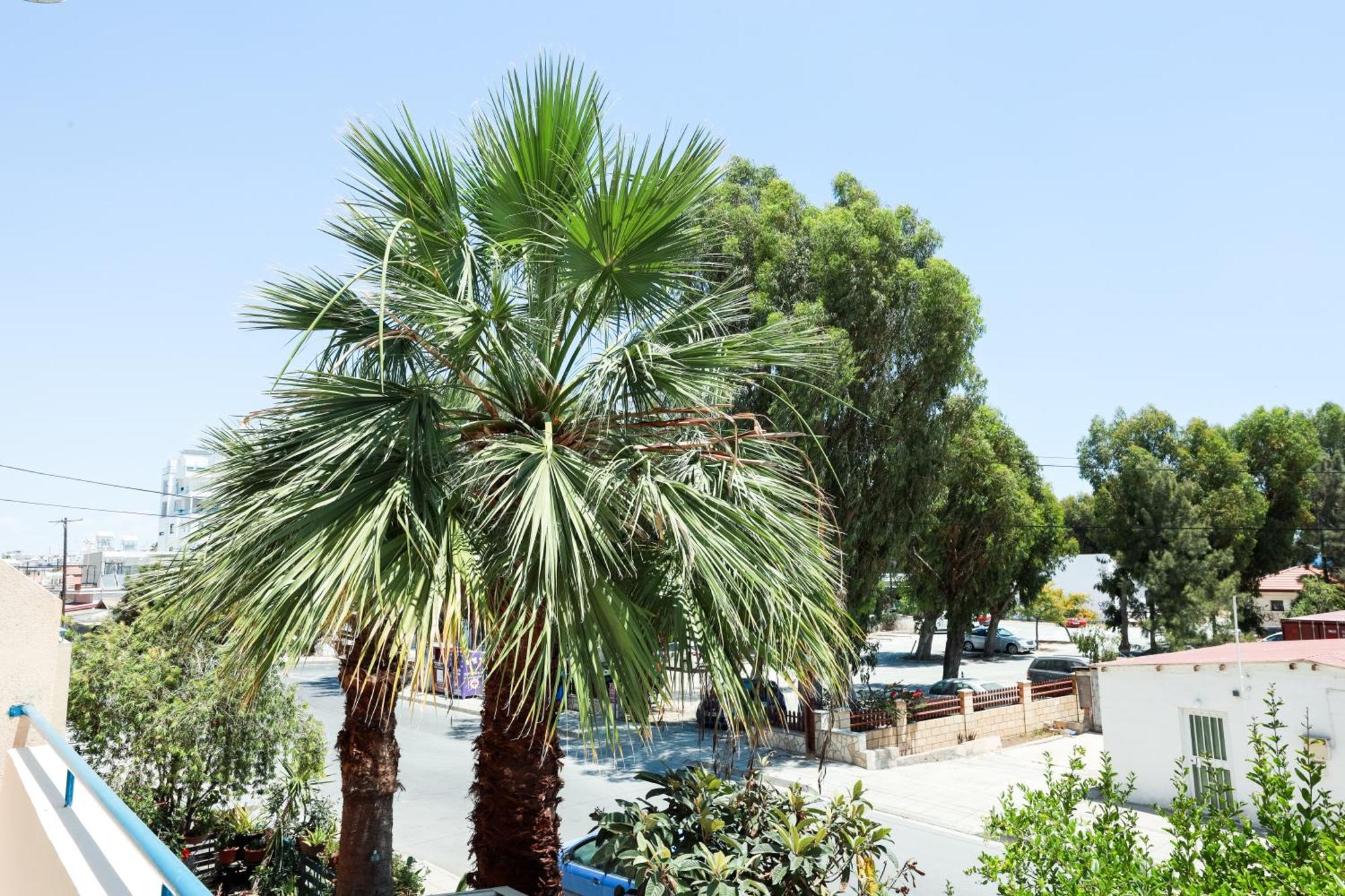 Mackenzie Apartment 101 Larnaca Ngoại thất bức ảnh